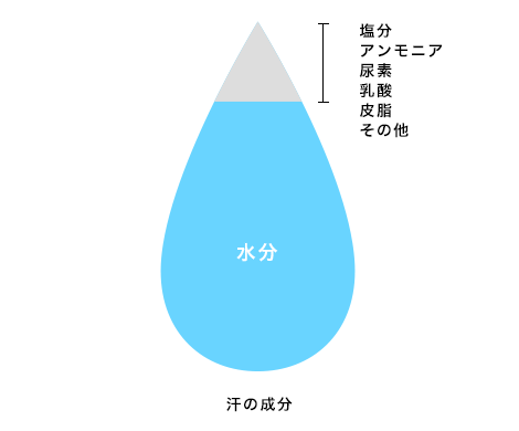 汗の成分は衣類の大敵。
